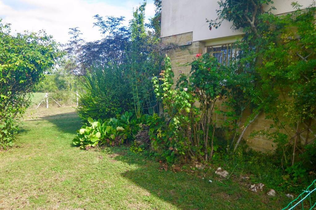 Les Petits Self Contained 2 Bedroom Apartment Molieres (Dordogne) Ngoại thất bức ảnh